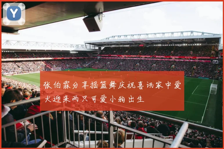 张伯霖分享摇篮舞庆祝喜讯家中爱犬迎来两只可爱小狗出生