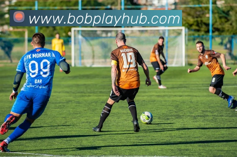 BOB体育平台生态图