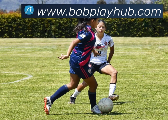 BOB体育APP 封面图